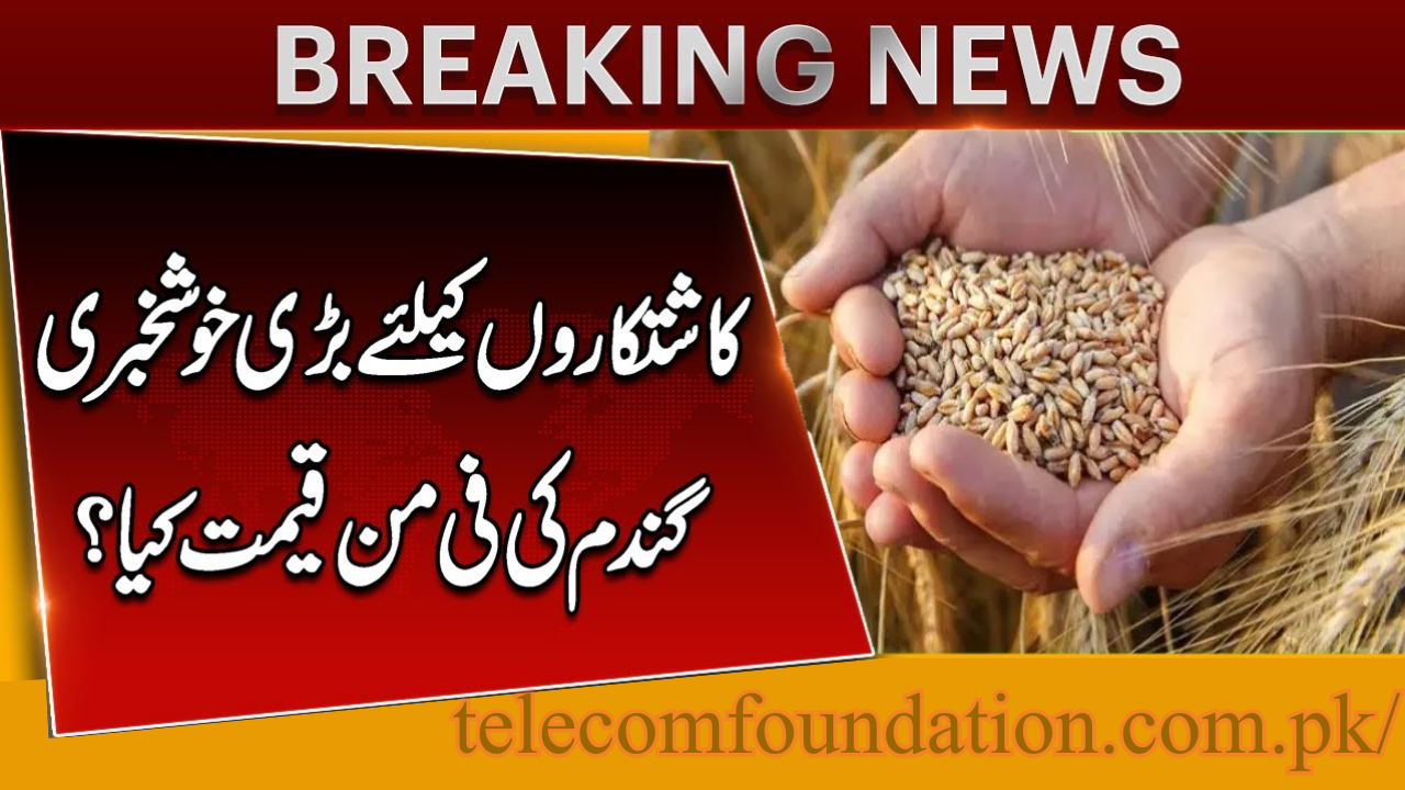 Punjab Government Wheat Price