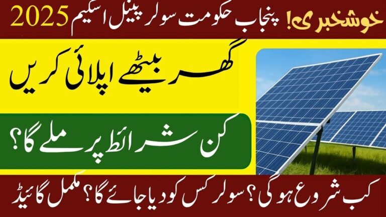 Punjab Government’s Solar Panel Scheme 2025
