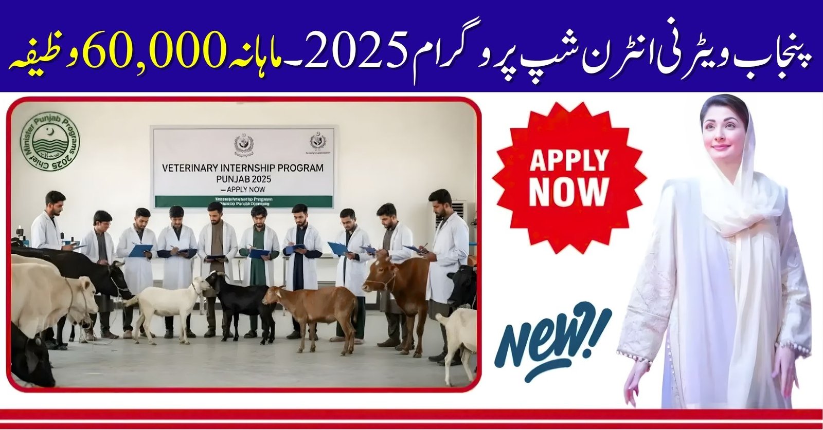 Punjab Veterinary Internship Program