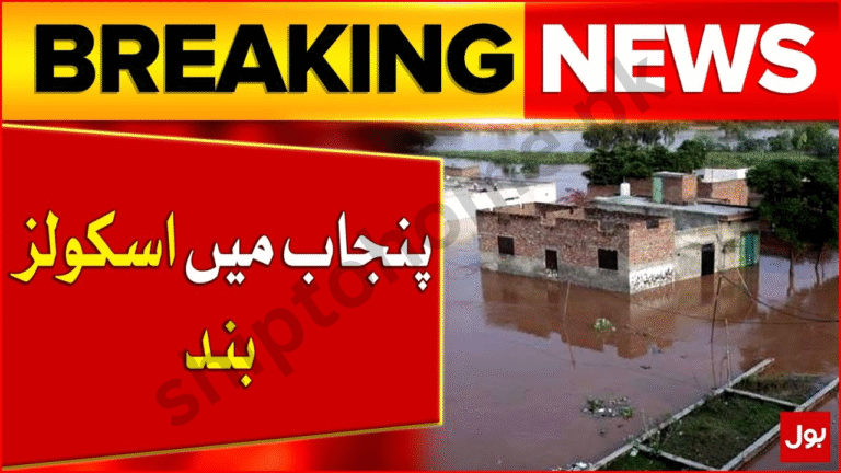 Punjab Schools Closure 2025