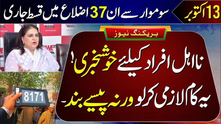 Benazir Kafalat Program: 8171 Web Portal Status Guide