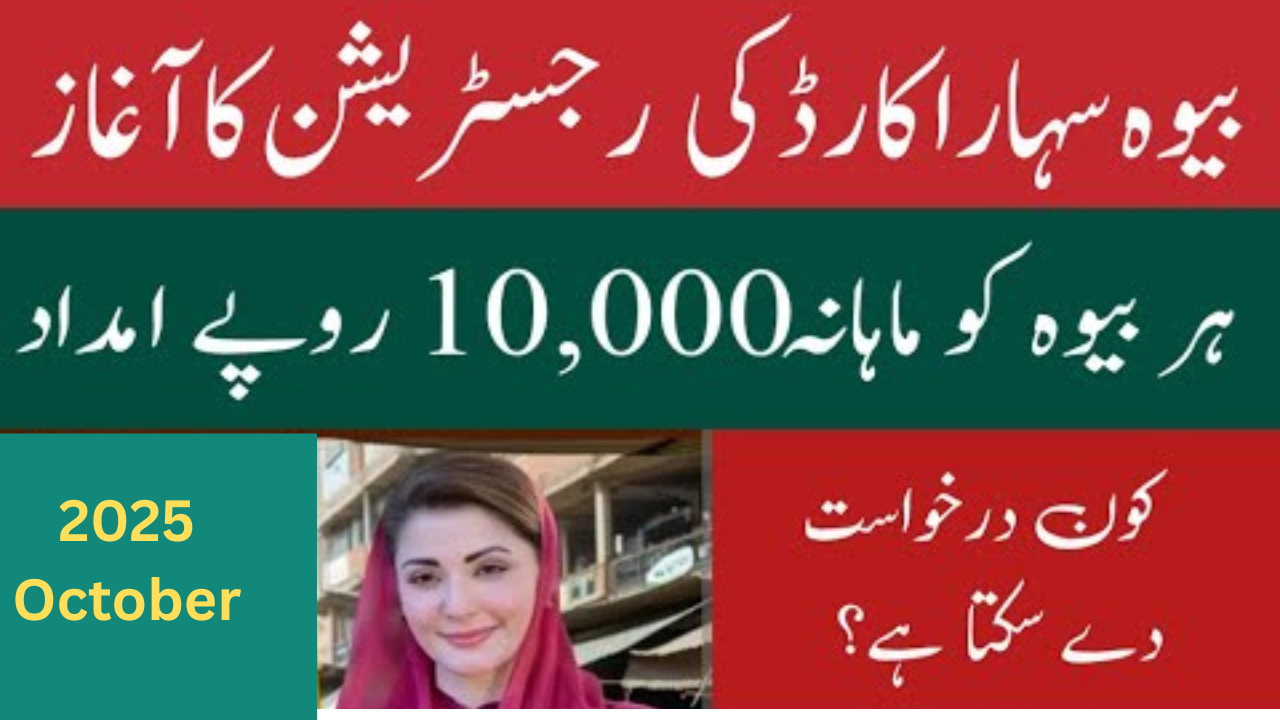 CM Punjab Bewa Sahara Card Registration