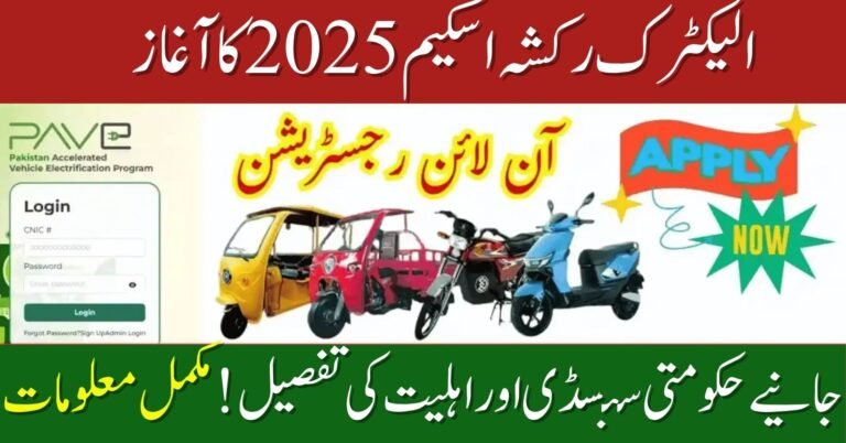 Electric Government scheme