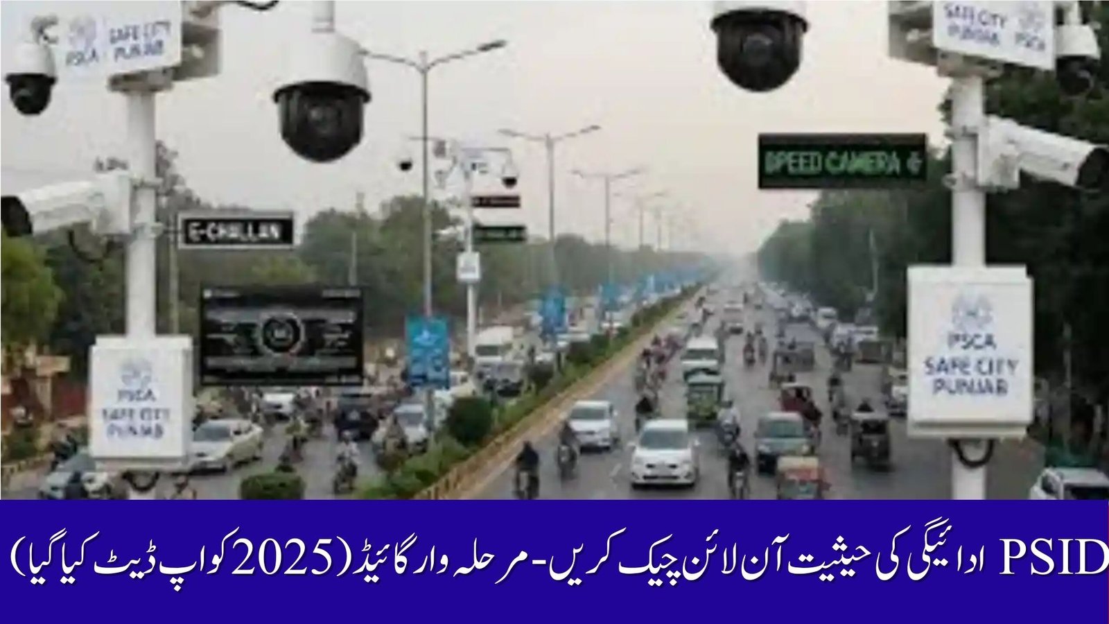 PSID Payment Status Check Online