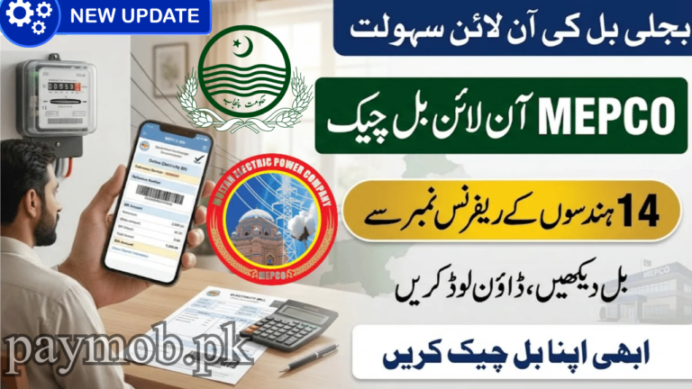 MEPCO Online Bill Check