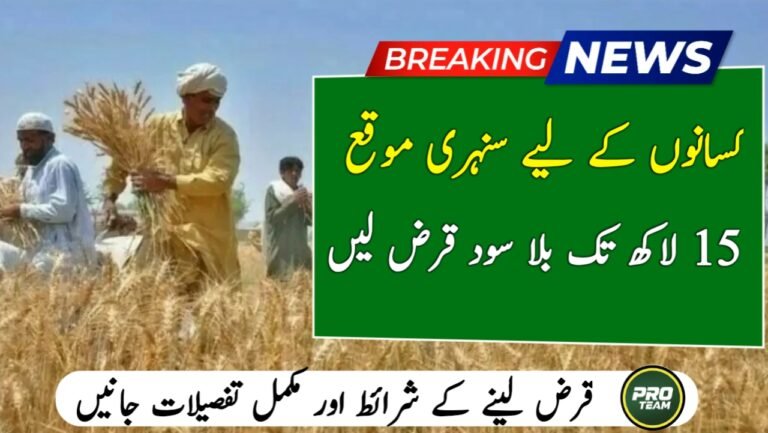 ZA Digital Qarza Online Business Loan 2026