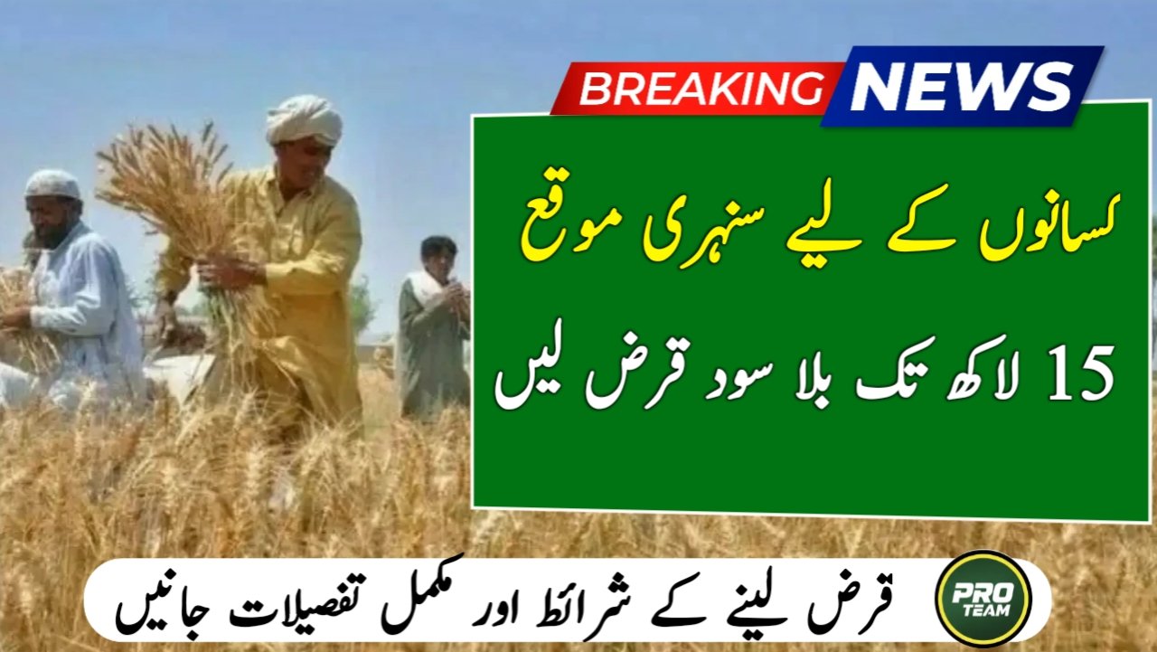 ZA Digital Qarza Online Business Loan 2026